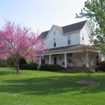 redbud-ext-wilmore-ky